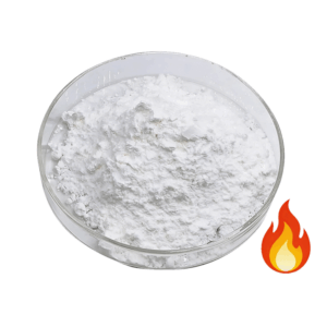 L-carnitine powder