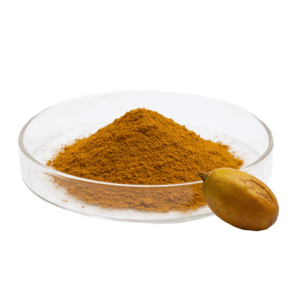 Garcinia Cambogia Extract