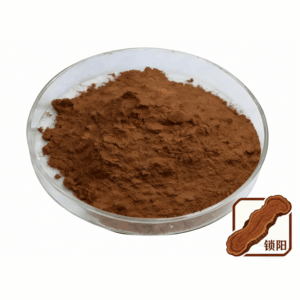 Cynomorium powder